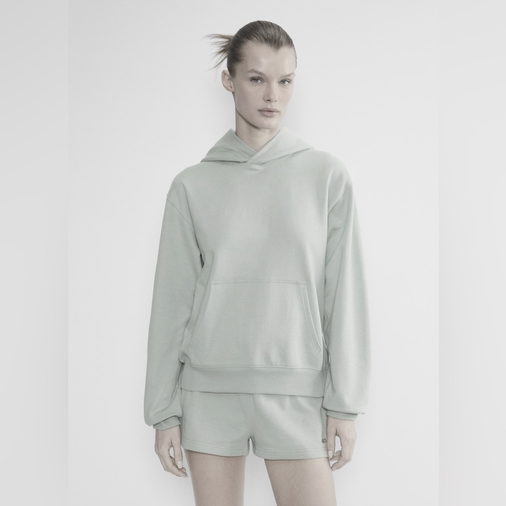 Aritzia Tna Cozy Fleece Perfect Hoodie